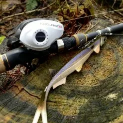 Quantum Accurist Baitcast AT101 HPT -Kelat Verkäufe 22 570101 6