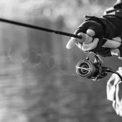 Shimano Stella FK 12 Shimano Stella FK -Kelat Verkäufe STL1000FKr 5